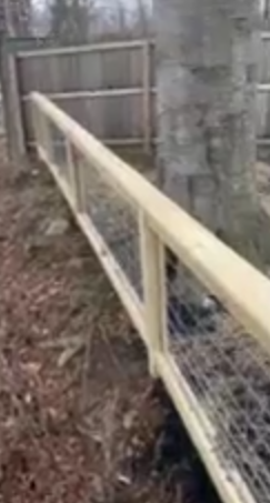 Wood-framed wire mesh fence installed between mature trees in a backyard